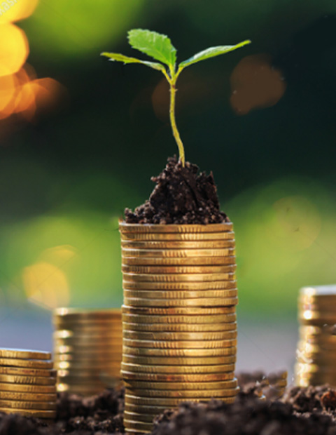 Fixed Deposit
